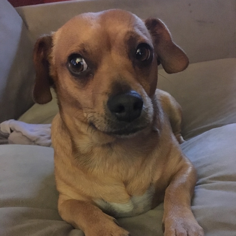 Meet your Posher, Kristine